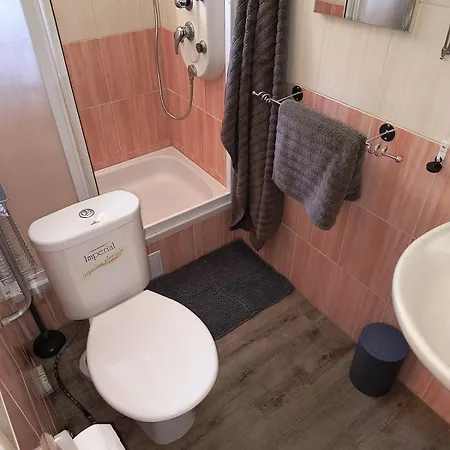 Appartement Volsovy *