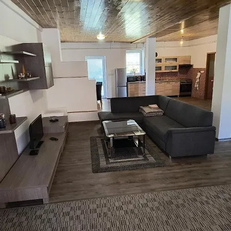 Appartement Volsovy *