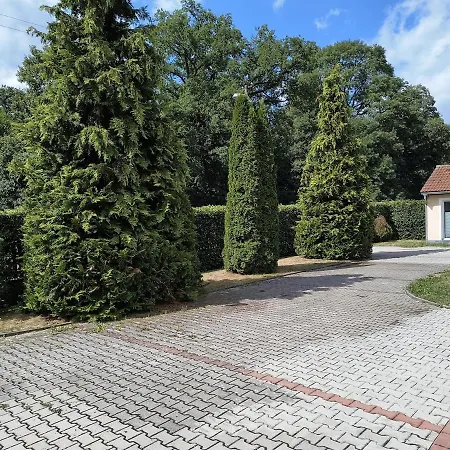 Volsovy Sušice